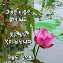 성남 탄천길 ㅡ성남 시청 공원길 ㅡ모란역 수진역 신흥역 ㅡ단대오거리역 트레킹 이미지