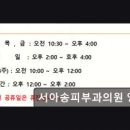 서아송피부과의원 이미지