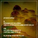 삼수갑산 이미지