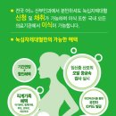 라이프라인 동행미디어 시대