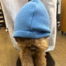 동아호힛집 | 12월 일상 / 매일이 평탄할순없지 긍정긍정 ! 애개육아 일상