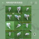 제제네 멍치원 이미지