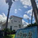 제주마중in판포 이미지