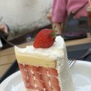 빵댕이넷 네이버블로그