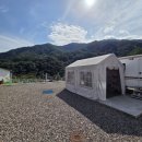 가화 | 이게 바로 감성 글램핑! 가평 가화2372 카라반글램핑 내돈내산 후기