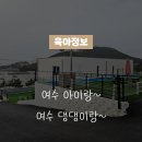 사계에반하다 1 네이버블로그