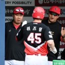 위즈덤