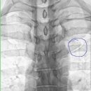 신세계재활의학과의원 이미지