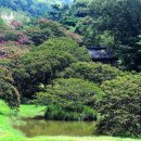 게으르게 이미지