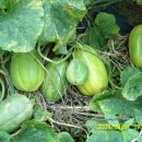 희성농장 이미지