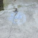 한림주유소 이미지