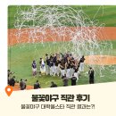 불꽃 | 불꽃야구 직관 후기 파이터즈 대학올스타 고척돔 스카이박스 시야