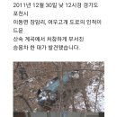 일산 여중생 백골시신 사건의 전말 이미지