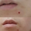 SI BIO | 올리브영 3월 세일 내돈내산 후기 (실사용 솔직 리뷰 &amp; 재구매템)
