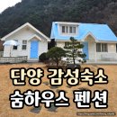 청남대 숲속 펜션 | 단양 감성숙소 - 동화같은 유럽풍 숲속 가성비 펜션 후기