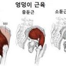 잼짐(GEM GYM) 이미지