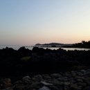 파도농장 이미지