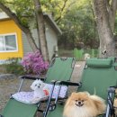 라포레캠핑장 이미지