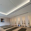 [호캉스 추천 | 내돈내산] 파크로쉬정선 웰니스 프로그램 후기 | 바로 요가, 수리야 요가 체험