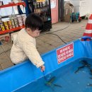 기업농장 | 포레스트벨 딸기 농장 아이와 주말 나들이 후기, 내돈내산