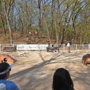 금곡동반려견놀이터 이미지