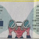 이도코퍼레이션
