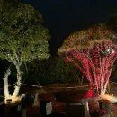 대동국수 이미지