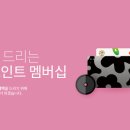 배스킨라빈스마산내서