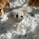 견상낙원 이미지