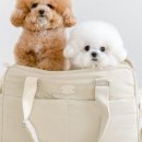 남산동물병원 이미지