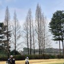 어뉴골프 - 평택시 서동대로 3708 | 어뉴골프