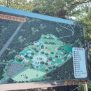 모구리야영장(일출봉영지) 이미지