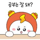 창의체스탐험대 이미지