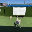 아리댕댕애견카페 이미지