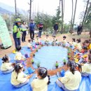 작은나무숲 이미지