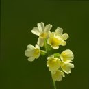 감내길 | 연로하신 부모님 위한 일산동구 요양원 행복의집 어르신도 편안한 곳