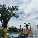 달빛솜솜키즈풀빌라 | 가평 키즈 풀빌라 달빛솜솜키즈풀빌라 내돈내산 후기 여름 휴가 풀램핑A