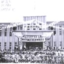 우리나라행정사무소 이미지