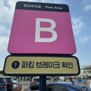 판다보러 에버랜드 간 날 ✨ 오픈런 주차 꿀팁, 스마트줄서기 (feat. 한가람, 오오츄 후기 !)