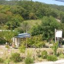 강가애하루 이미지