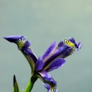 사하라작은도서관 이미지