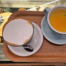 몬테비얀코 이미지