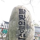 [좋은 사람들과 함께] 부산 해운대 달맞이 벚꽃 길 이미지