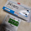 [대전] 대전 나혼자 뚜벅이 당일치기 소소한 여행 시즌1