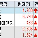 다올미르 이미지