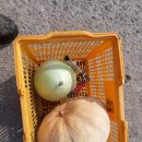 율촌농장 이미지