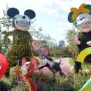 도봉-도봉-서울도봉-2332 이미지