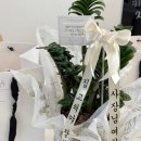 백현로144번길 이미지