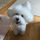 골프 | 메이필드 호텔 인도어 골프연습장 후기｜가격·주차·시설 총정리