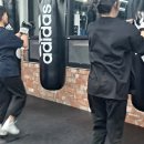 BMG 복싱 이미지